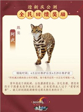 河北天龙八部私服图片